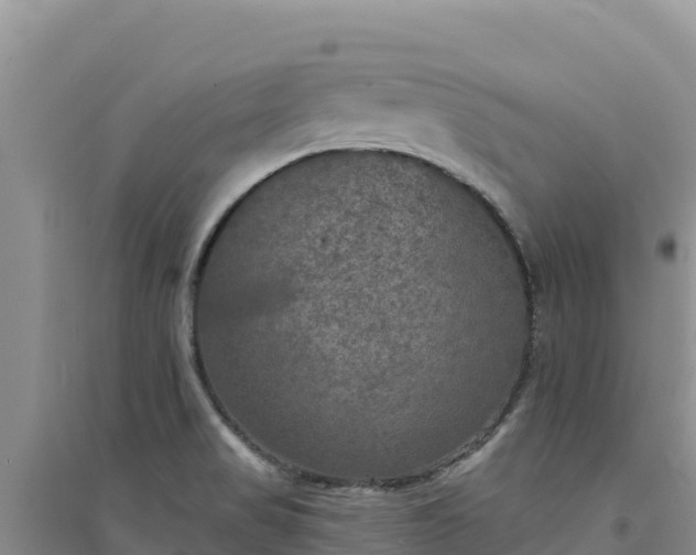 X0000094351517200711091440