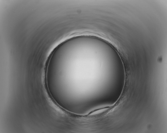 X0000094351518200711091440