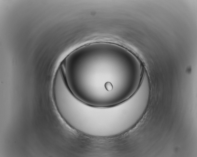 X0000094351520200711091440