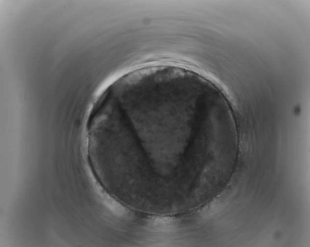 X0000094351522200711091440