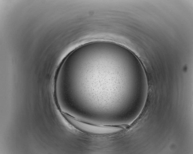 X0000094351523200711091440