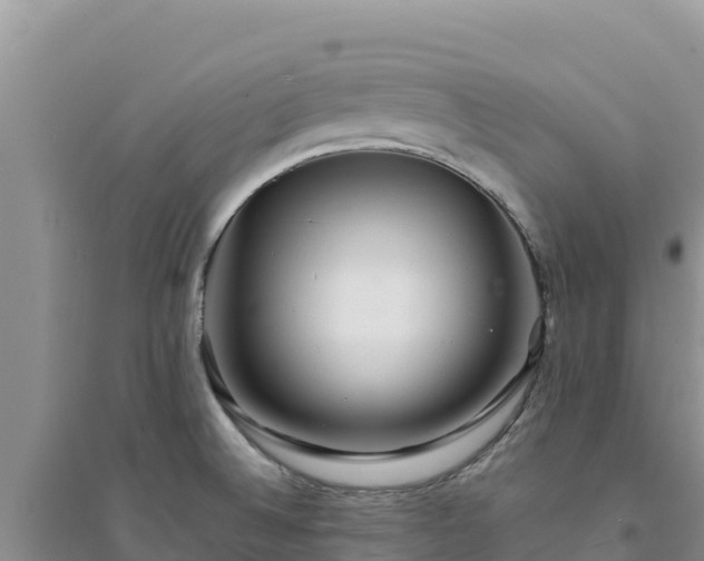 X0000094351524200711091440