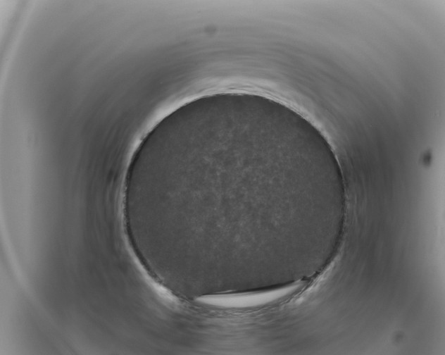 X0000094351525200711091440