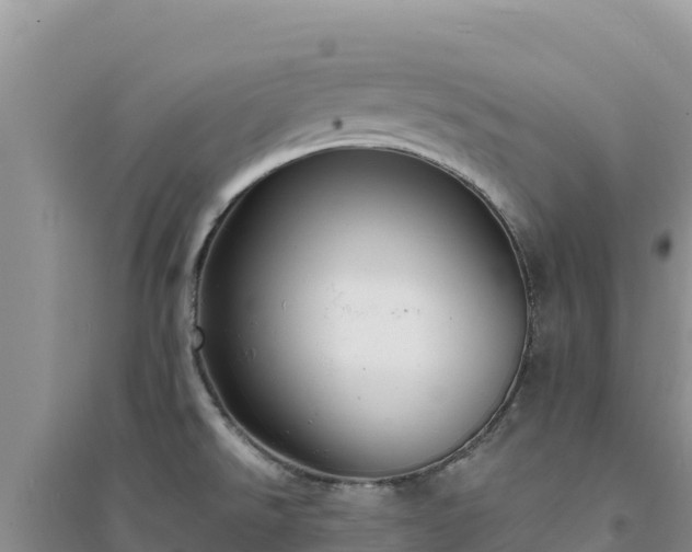 X0000094351526200711091440