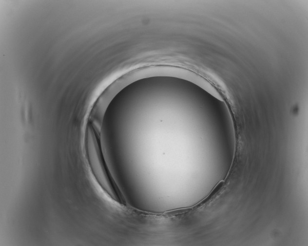 X0000094351528200711091440