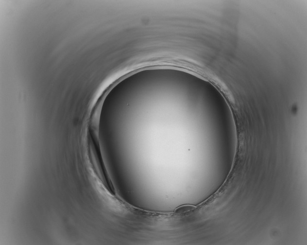 X0000094351530200711091440