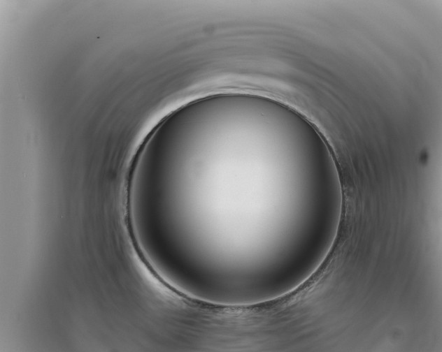 X0000094351531200711091440