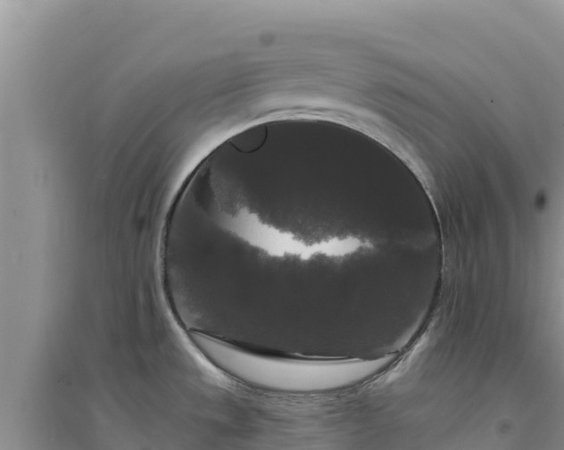 X0000094351533200711091440