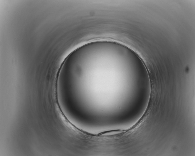 X0000094351534200711091440