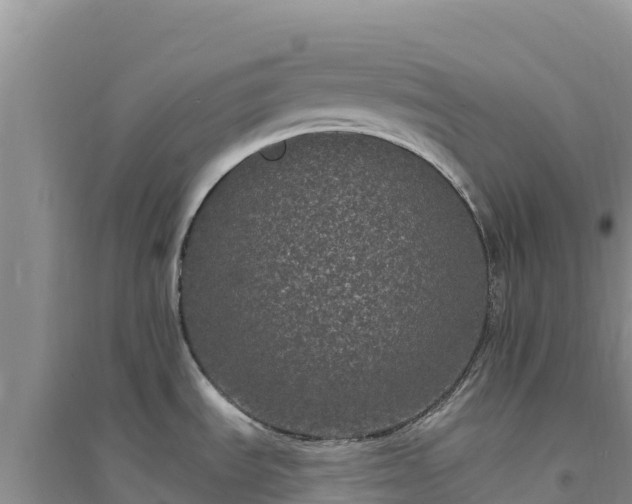 X0000094351535200711091440