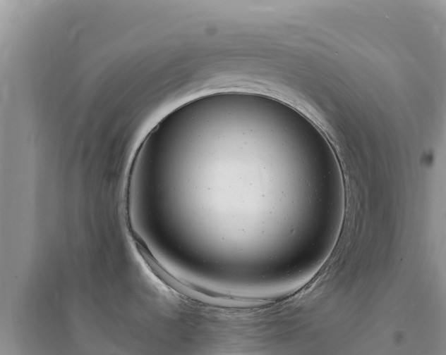 X0000094351536200711091440