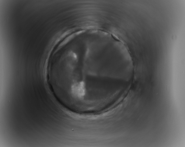 X0000094350002200711162039