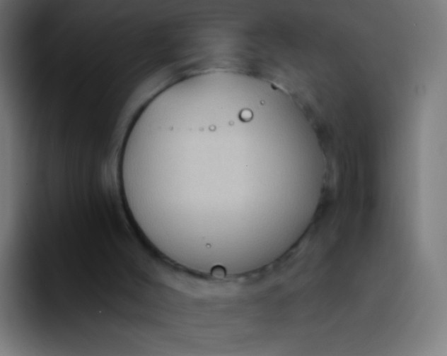 X0000094350004200711162039