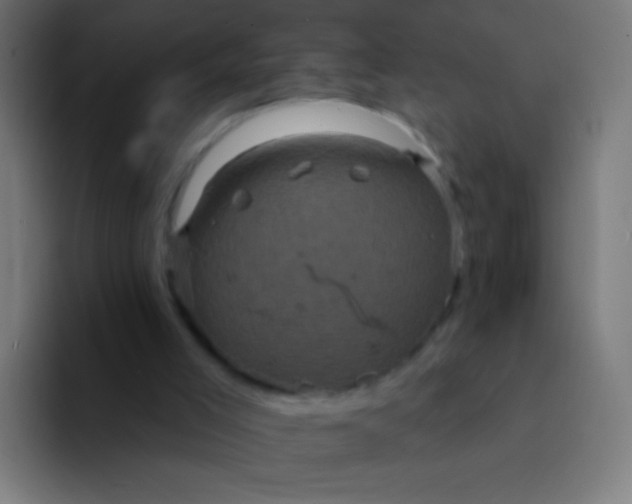 X0000094350005200711162039