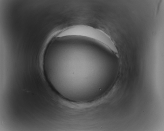 X0000094350006200711162039