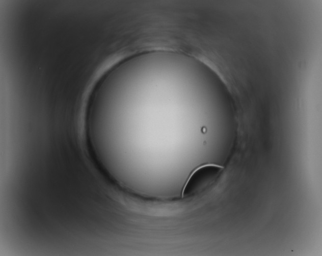 X0000094350008200711162039