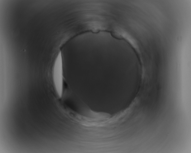 X0000094350009200711162039