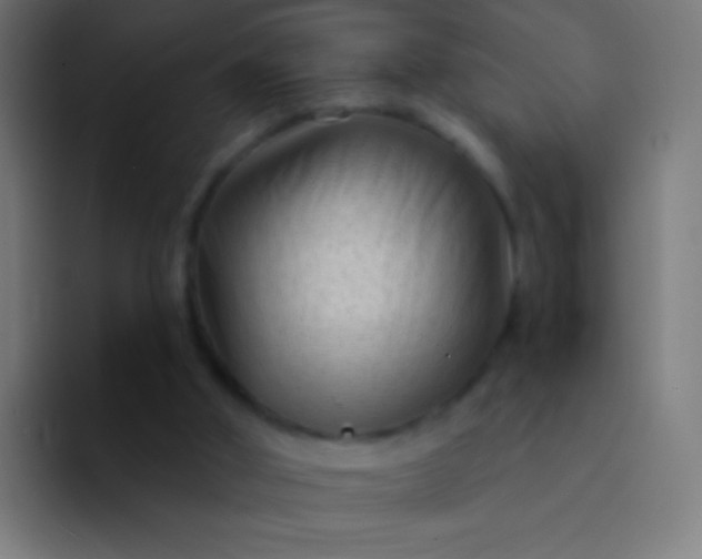 X0000094350010200711162039