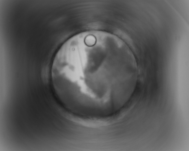 X0000094350012200711162039