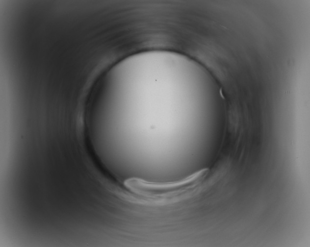 X0000094350015200711162039