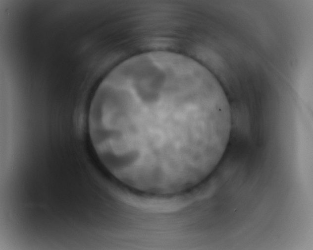 X0000094350016200711162039