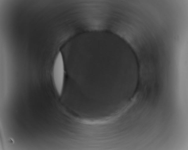 X0000094350017200711162039