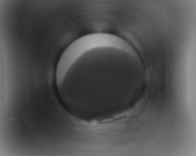 X0000094350018200711162039