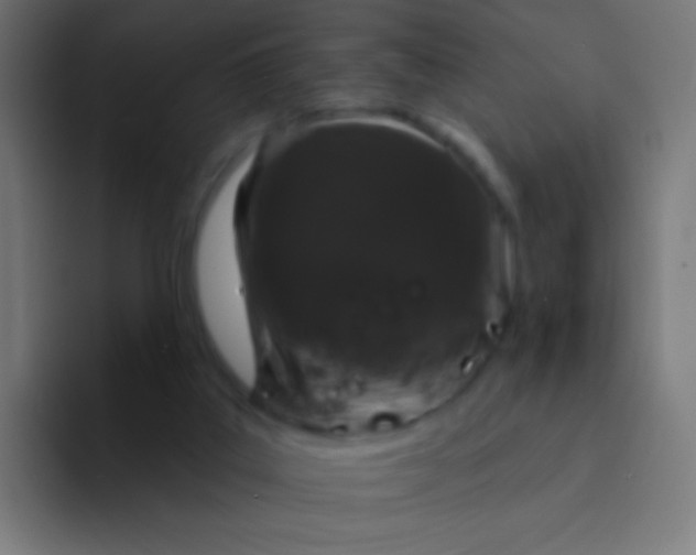 X0000094350019200711162039