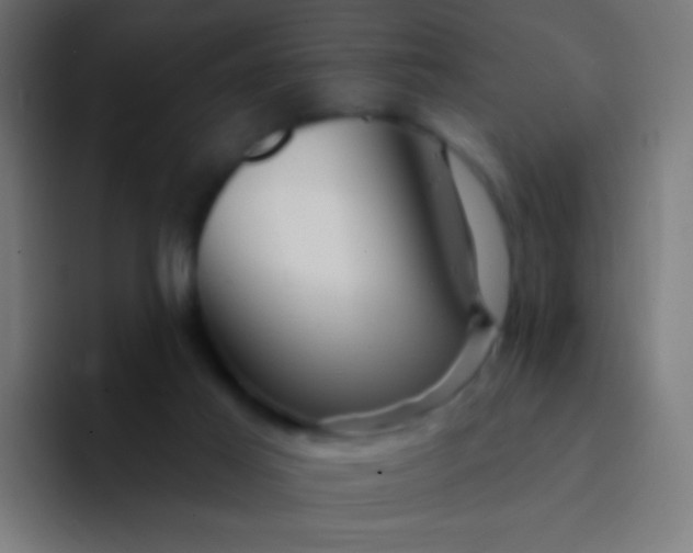 X0000094350021200711162039