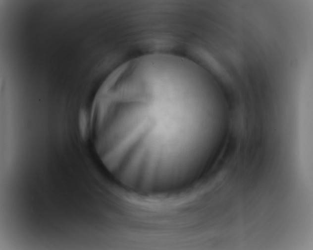 X0000094350022200711162039