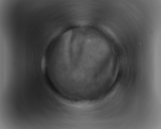 X0000094350024200711162039