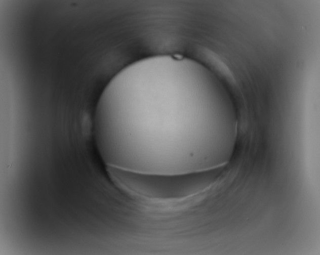 X0000094350025200711162039