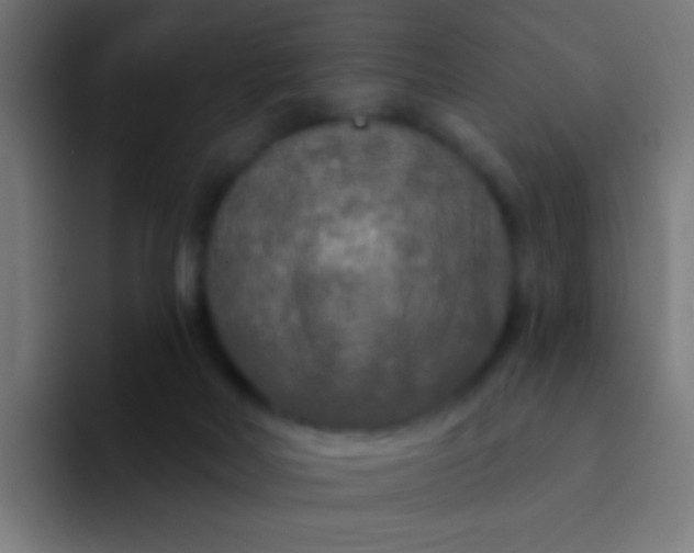 X0000094350026200711162039