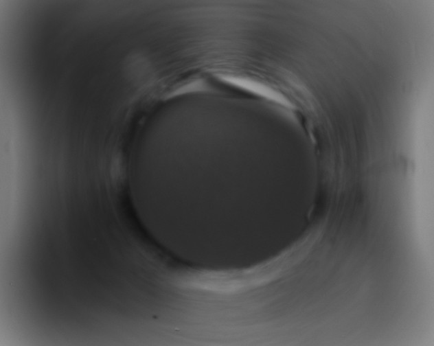 X0000094350029200711162039