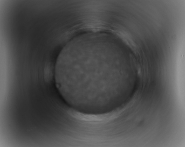 X0000094350030200711162039