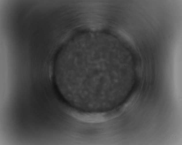 X0000094350032200711162039