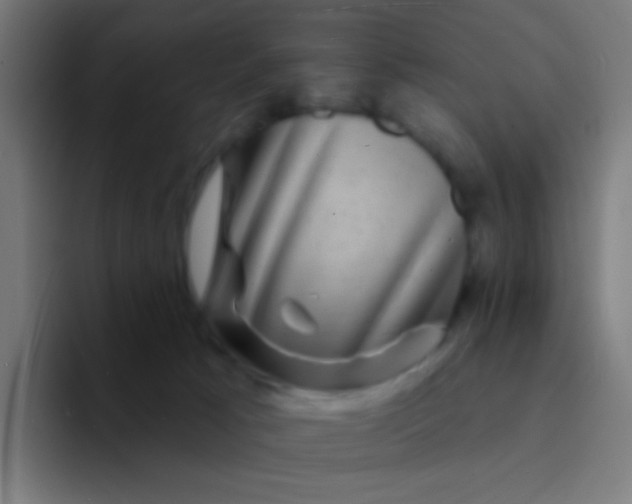 X0000094350033200711162039