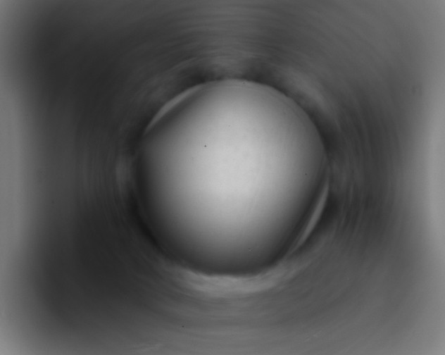 X0000094350034200711162039