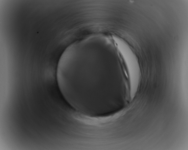 X0000094350035200711162039