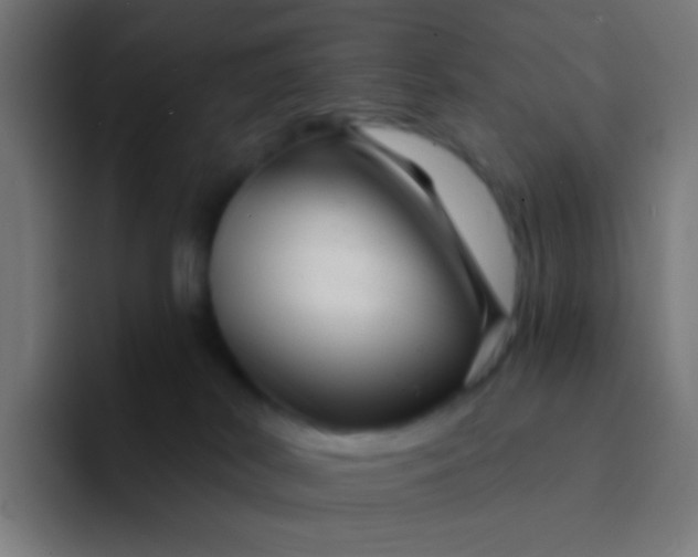 X0000094350038200711162039