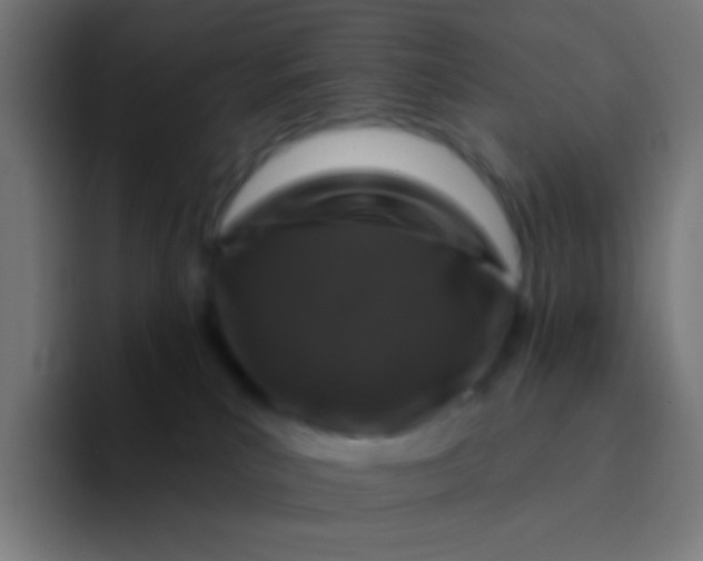 X0000094350039200711162039