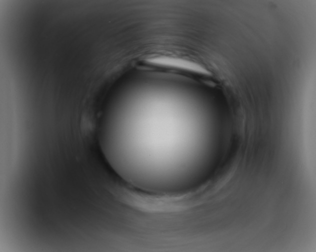 X0000094350040200711162039