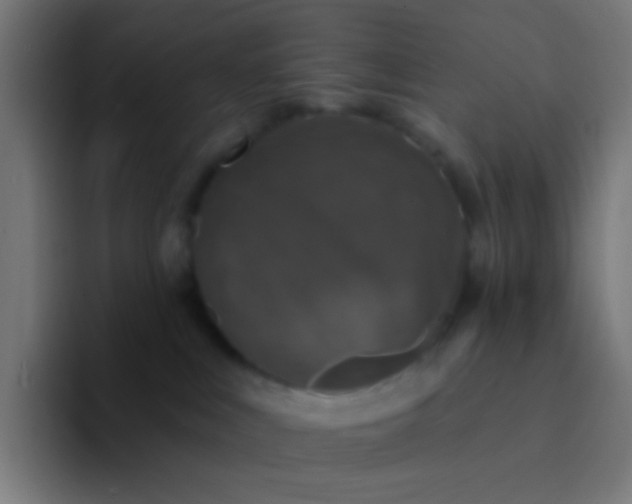 X0000094350043200711162039