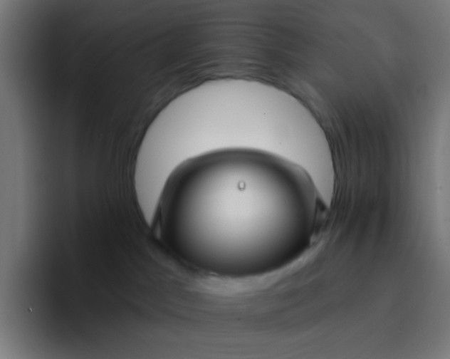 X0000094350045200711162038