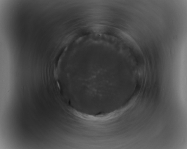 X0000094350046200711162038