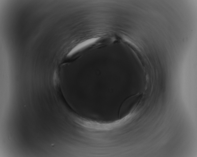 X0000094350048200711162038