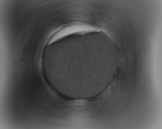 X0000094350050200711162038