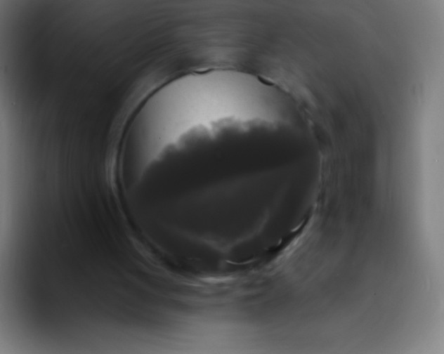 X0000094350051200711162038