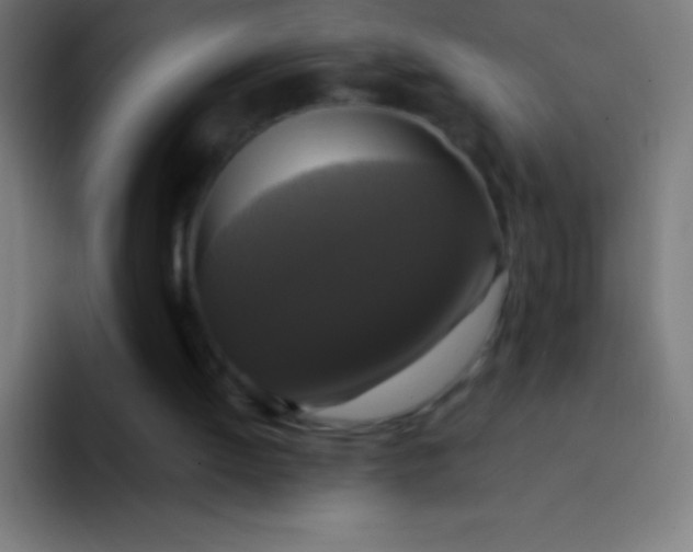 X0000094350052200711162038