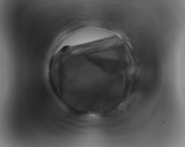 X0000094350053200711162038